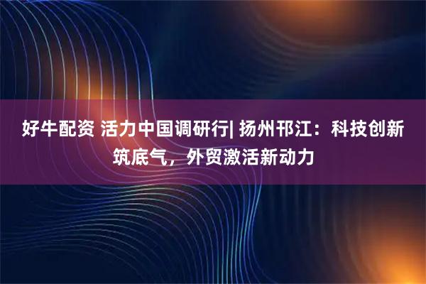 好牛配资 活力中国调研行| 扬州邗江：科技创新筑底气，外贸激活新动力