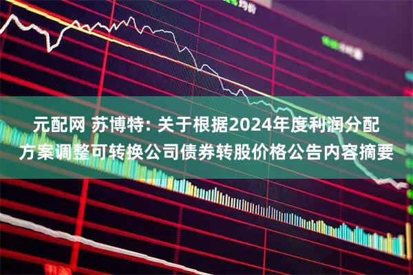 元配网 苏博特: 关于根据2024年度利润分配方案调整可转换公司债券转股价格公告内容摘要