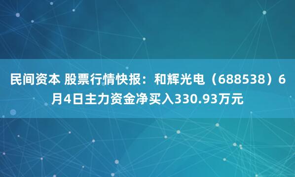 民间资本 股票行情快报：和辉光电（688538）6月4日主力资金净买入330.93万元