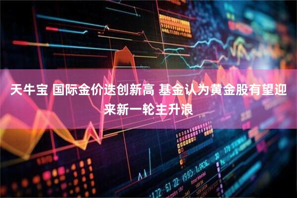 天牛宝 国际金价迭创新高 基金认为黄金股有望迎来新一轮主升浪