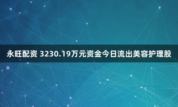 永旺配资 3230.19万元资金今日流出美容护理股