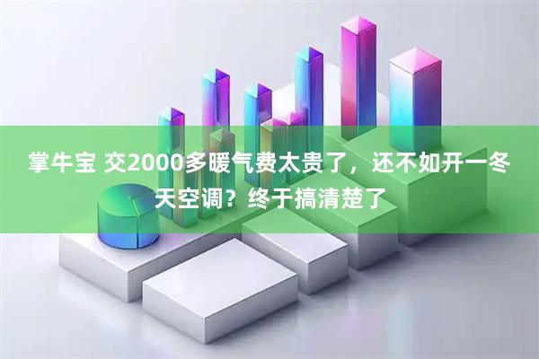 掌牛宝 交2000多暖气费太贵了，还不如开一冬天空调？终于搞清楚了