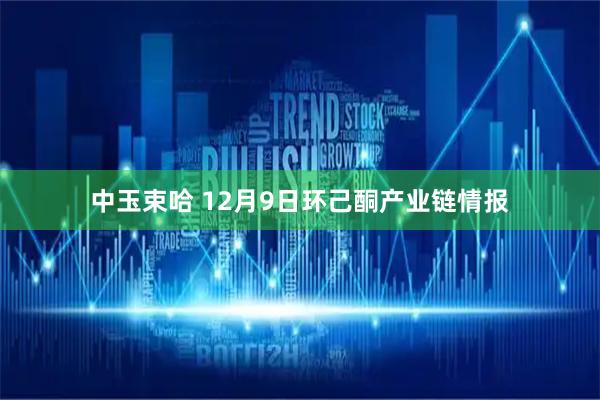 中玉束哈 12月9日环己酮产业链情报