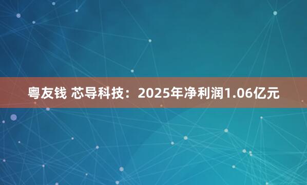 粤友钱 芯导科技：2025年净利润1.06亿元