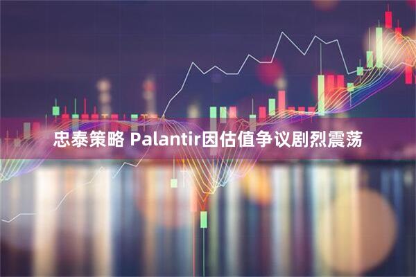 忠泰策略 Palantir因估值争议剧烈震荡